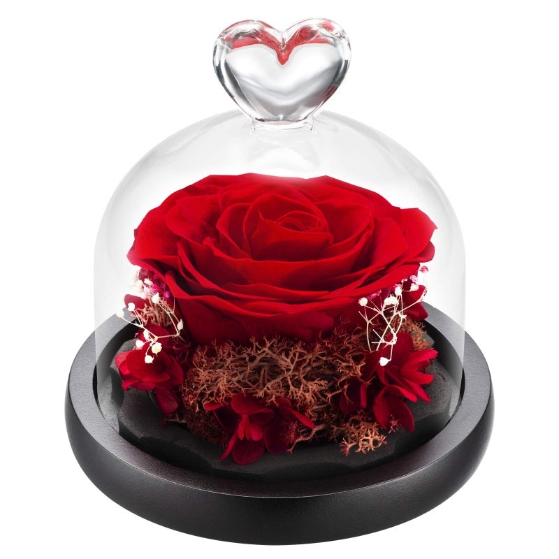 DuHouse Forever Roses Preserved Real Flowers Eternal Enchanted Rose Flower Box for Valentines Gifts Birthday Anniversary Christmas (Red) - Image 1